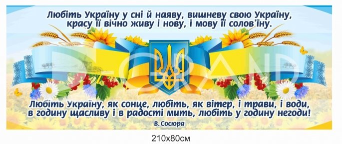 Стенд з висловом В. Сосюри 