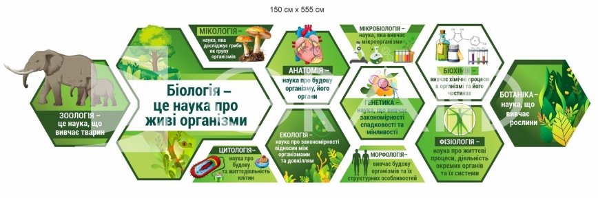 Стенди для кабінету біології: зоологія, ботаніка, анатомія, генетика, екологія