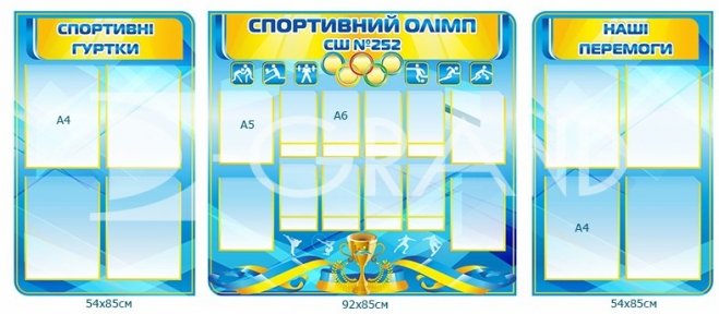 Композиція стендів для навчального закладу «Спортивний олімп»