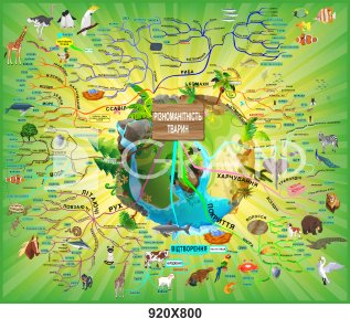 Красочный стенд по биологии 