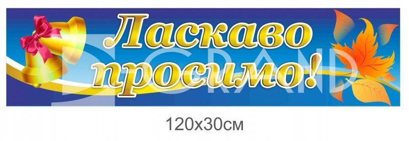 Банер 