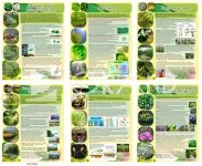 Комплект банерів для класу біології