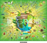 Красочный стенд по биологии 